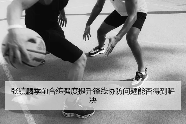 张镇麟季前合练强度提升锋线协防问题能否得到解决